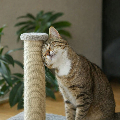 SISAL - sisalová přírodní lana a šňůry, stáčená, průměry 6, 8 a 10mm, LANEX