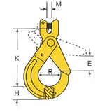 Samosvorný hák s vidlicí třída 8 FORANKRA